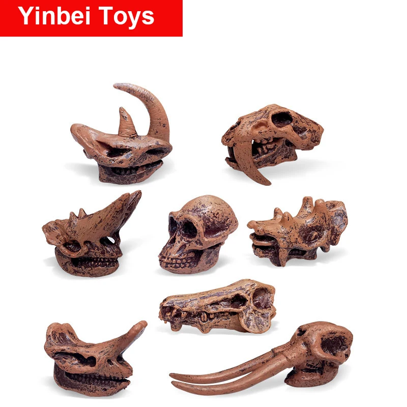 

Dinosaurs Skull Fossil Model Toys Kit Children's Archeology Dino Toy for 3 Years Old and Up Boys and Girs Kids