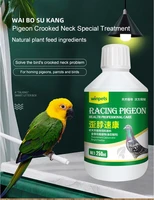 parrot bird pigeon tilted head tilted neck shook his head water green stool vomit do not eat nutritional supplements 250ml