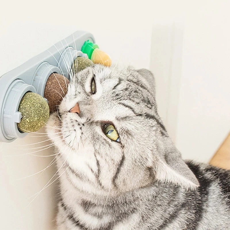 Аксессуары для чистки зубов интерактивные игрушки кошек