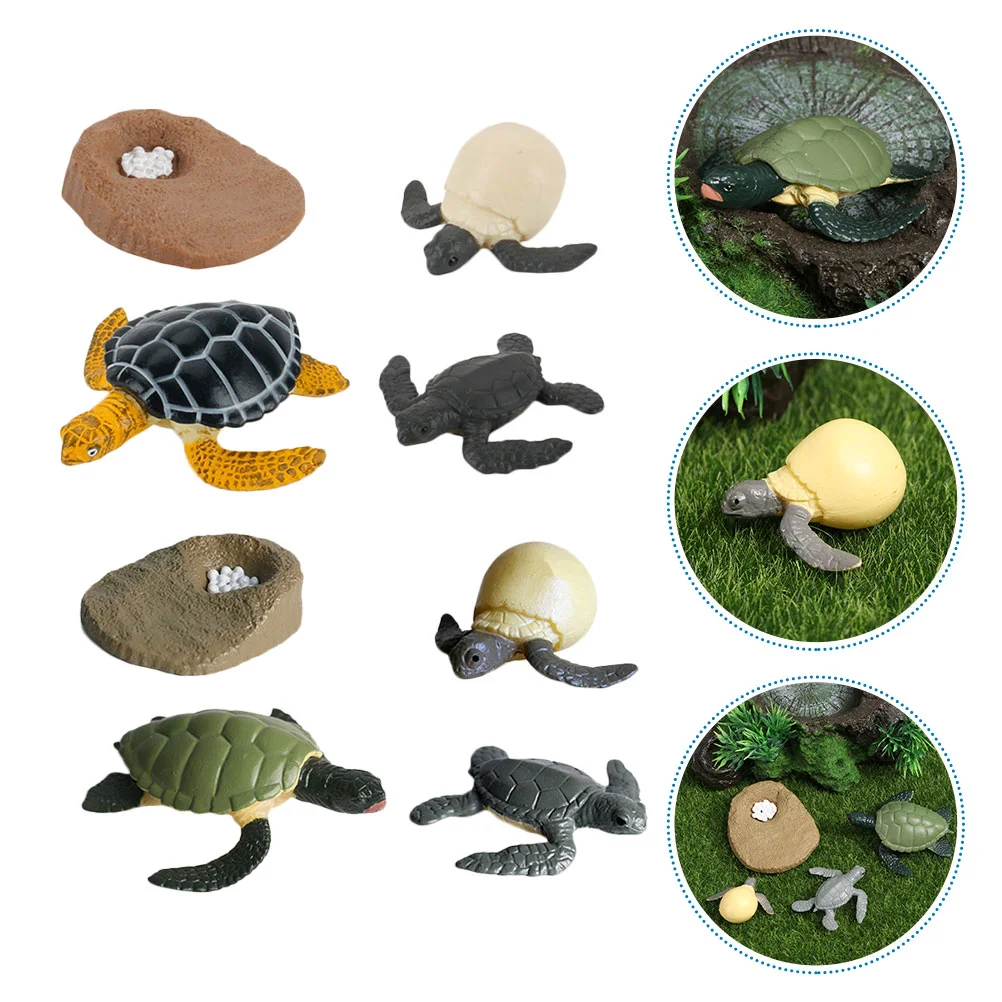 

2 комплекта/8 шт., детская развивающая Когнитивная модель