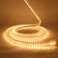 220v 2835 led strip light waterproof flexible led ribbon rope lights 120ledm with switch power plug home decor super bright