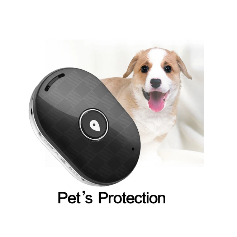 Petbot loona - a pet, a robot, a friend. Pet sending. Pet sending. мини жпс трекер для собак. мужчины и питомцы.