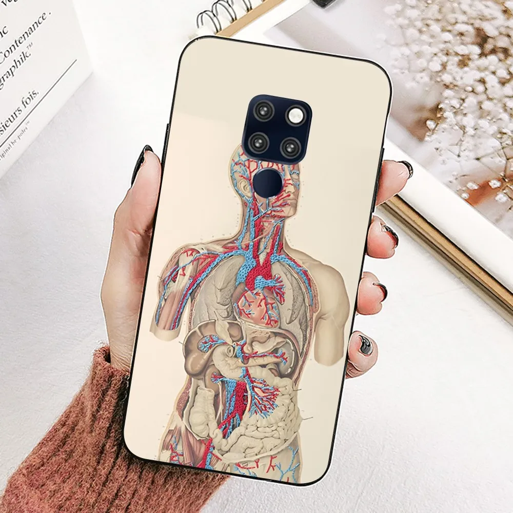 Медицинский чехол для телефона с анатомии человека Huawei Mate 10 20 30 40 50 Lite Pro Nova 3 3i 5 6 SE 7