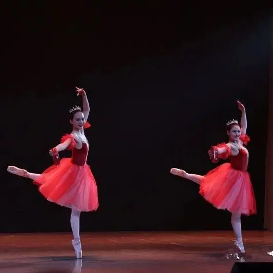 

Children's Tutu Swan Lake Tutu Tutu Tutu Tutu Swan dance dress adults
