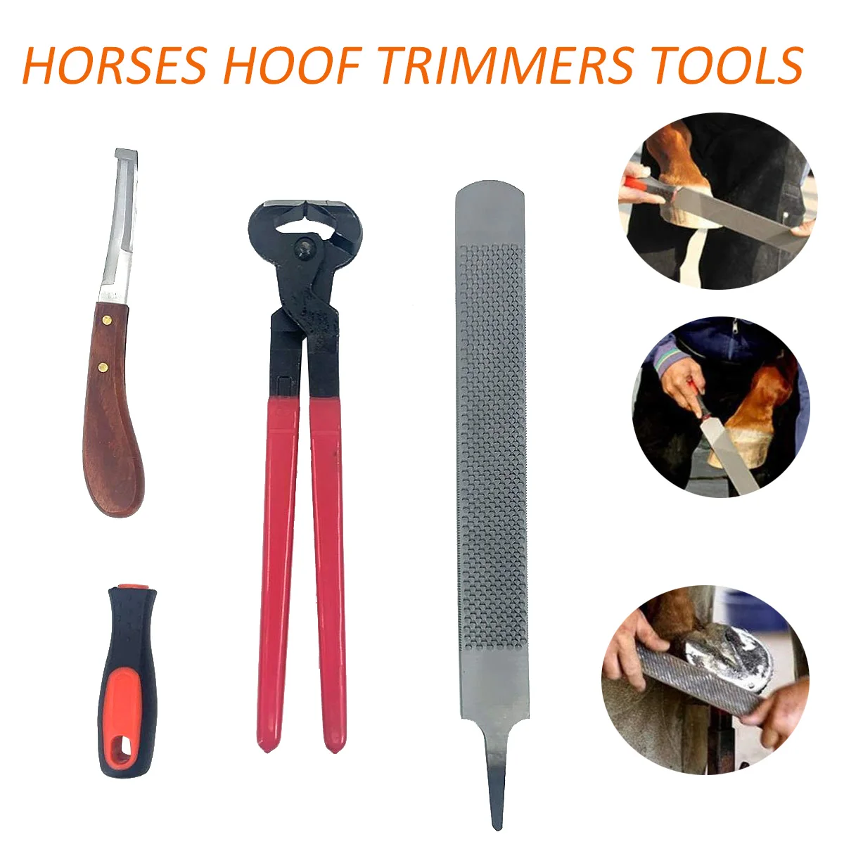 

4PCS Horse Farrier Hoof Nipper Trim Shoeing File Rasp Handle Hoof Cutter Tool Horse Care Accessory Knives Kit