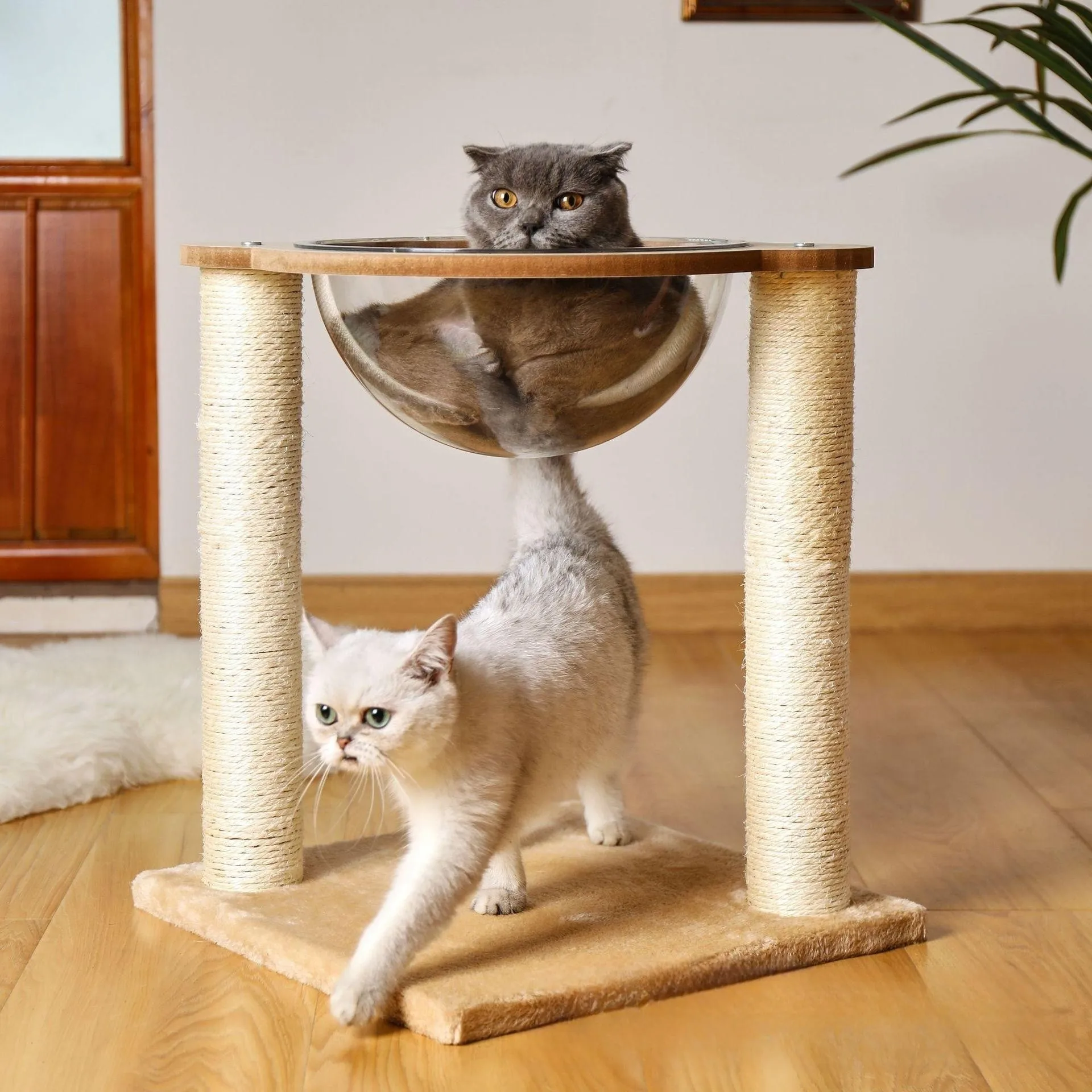 

Cat climbing space capsule cat nest Cat tree sisal cat scratching board upright one multi-functional pet toys pet supplies