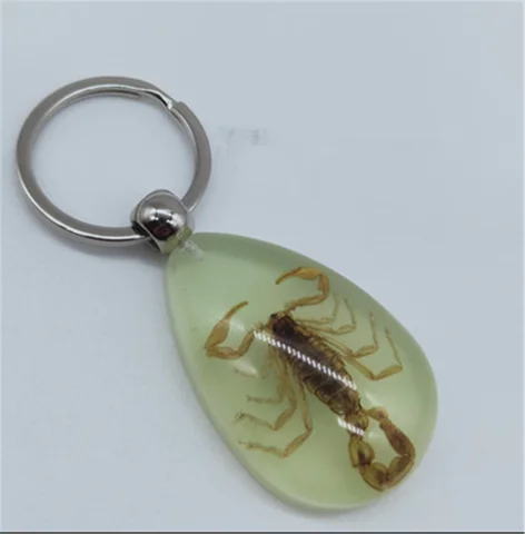 Автомобильные аксессуары, ночник с насекомыми, янтарные игральные кости, брелок для ключей, поделки для Honda City OSM FC Small PUYO Crosstour CR-Z S C