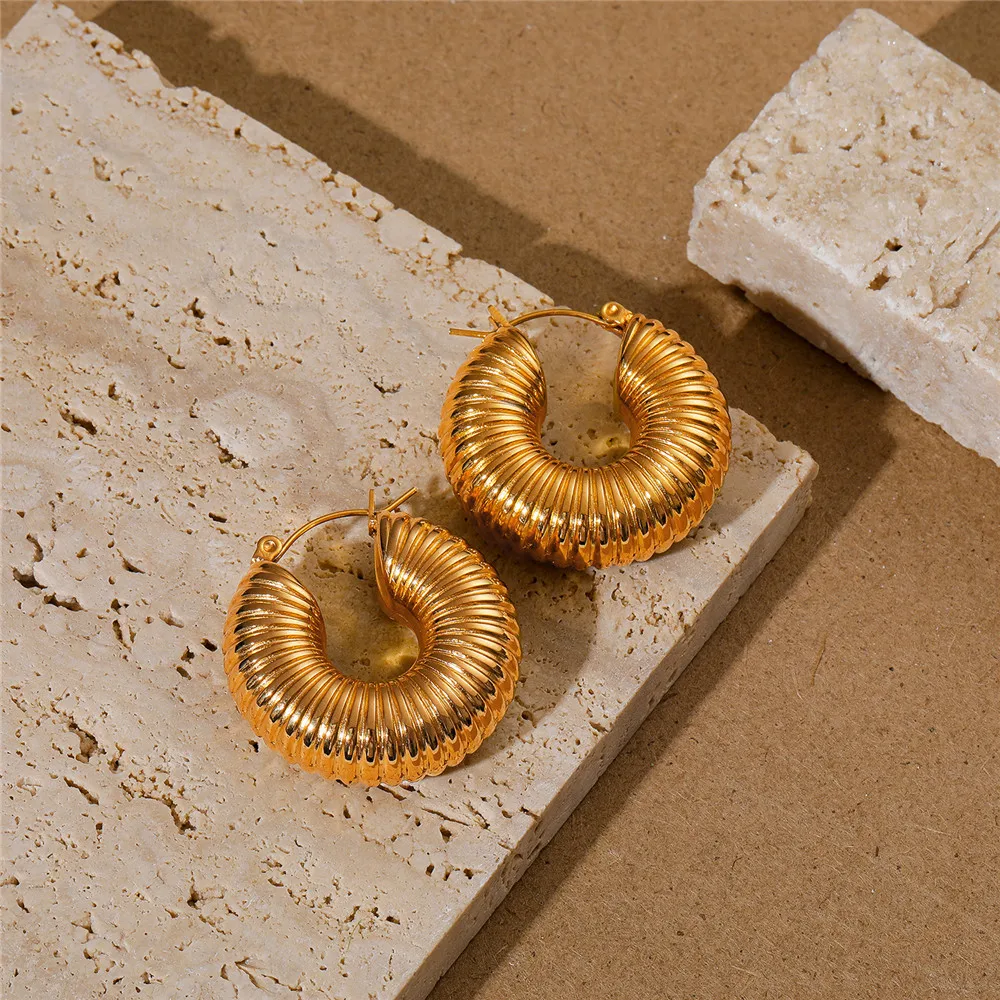 

BOAKO 316L Stainless Steel Earring Trendy Round Chunky Hoop Earrings 18K Gold Plated Bijoux Ete Jewlery Waterproof Accessories