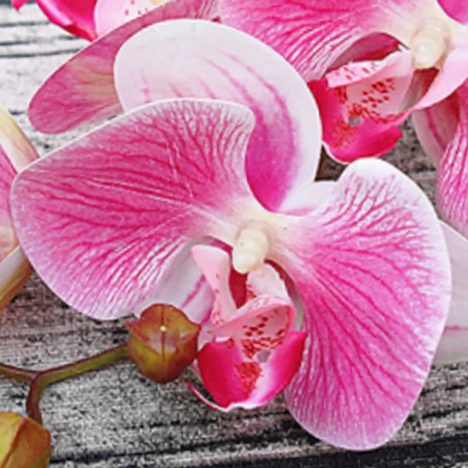 Свадебное украшение 6-головый Шелковый цветок имитация бабочки орхидеи