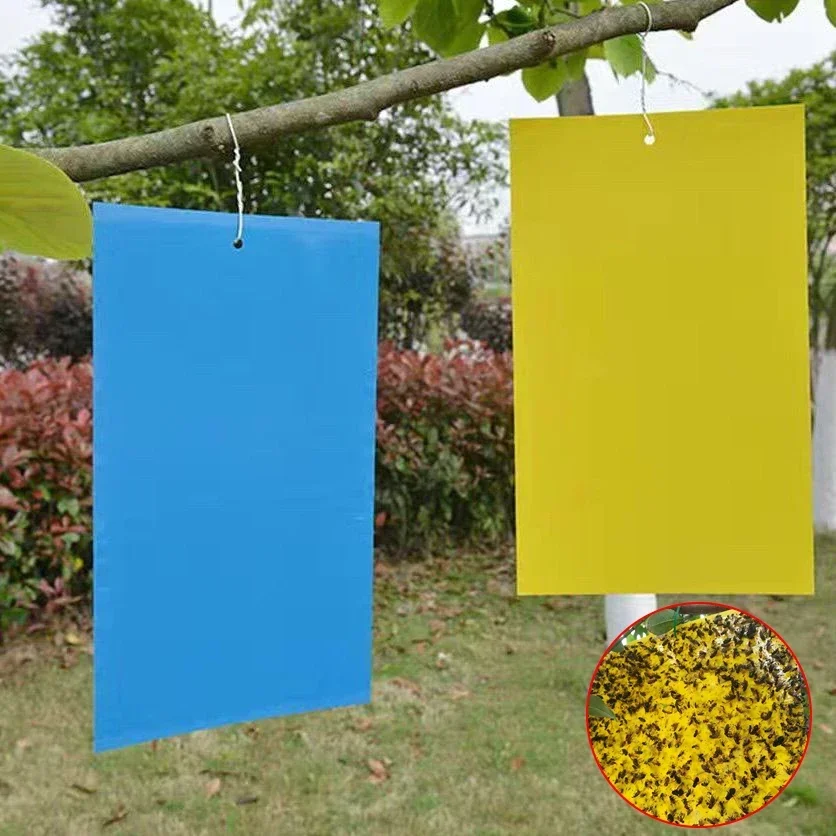 20 шт. Клейкая Двусторонняя ловушка для насекомых и