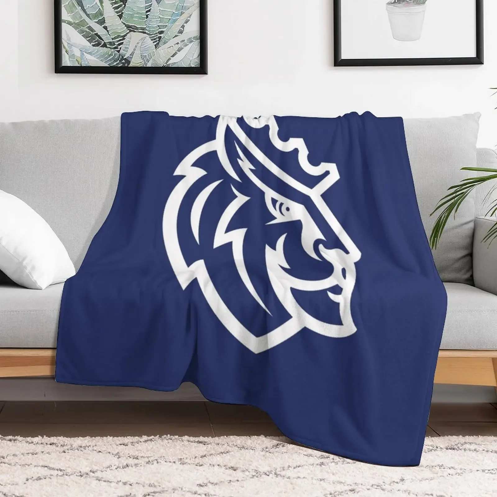 Пушистое одеяло Queens University of Charlotte для детей