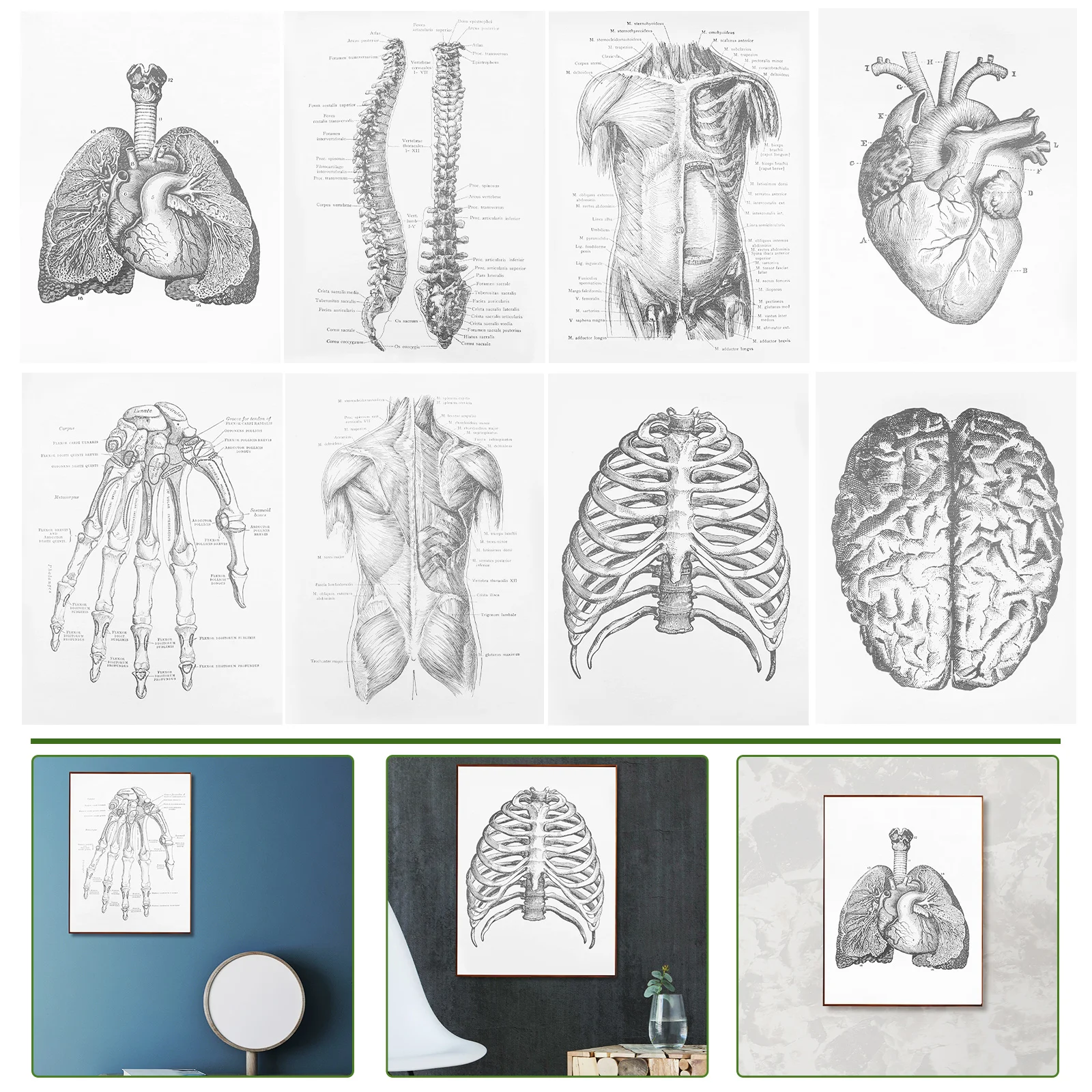 

8 шт., Декоративные плакаты