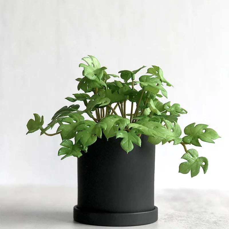 

JOLLYBOOM Green Turtle Leaf Artificial Plant Cheap Fake Plant for Home Living Room Company Office Decoration Accessories