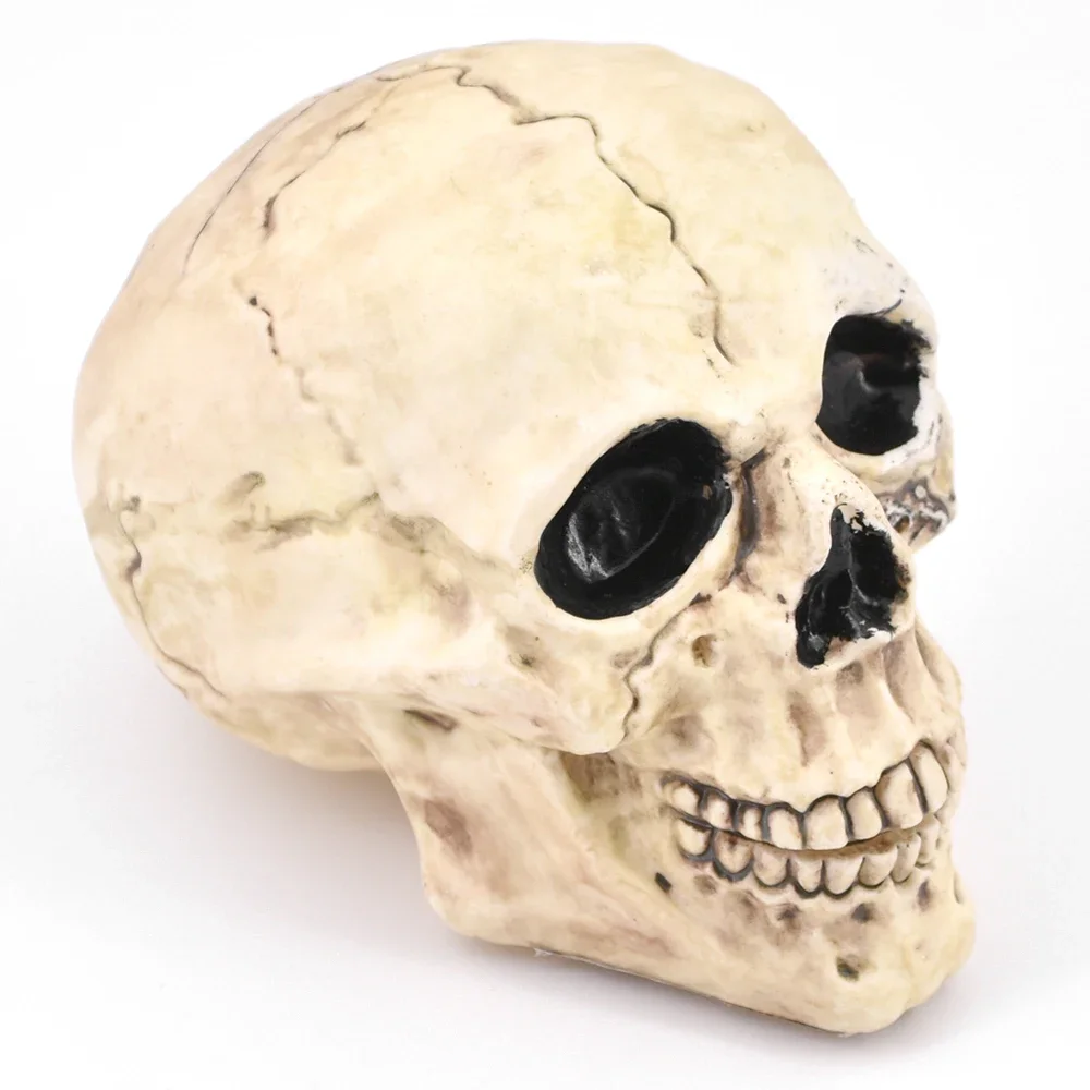 Зомби плавающий череп волшебные трюки сцена магия Череп плавающая мушка