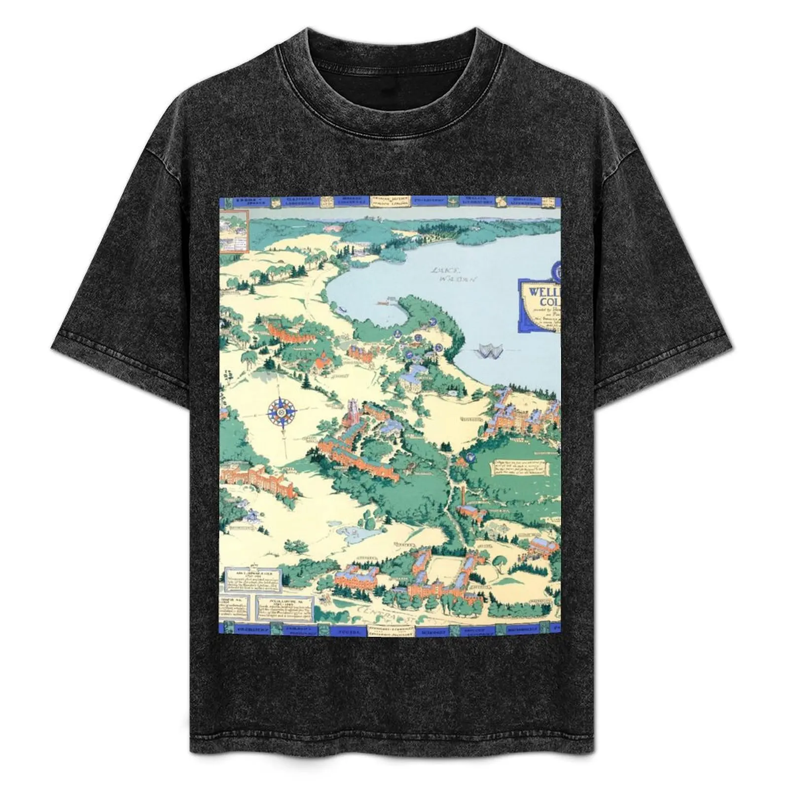 WELLESLEY карта колледжа MASSACHUSETTS декор в общежитии выпускная футболка великолепные