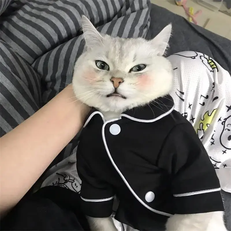

2PCS Pet Shirt Clothes, Small Dog Shirt, Dog and cat Solid Color Clothes