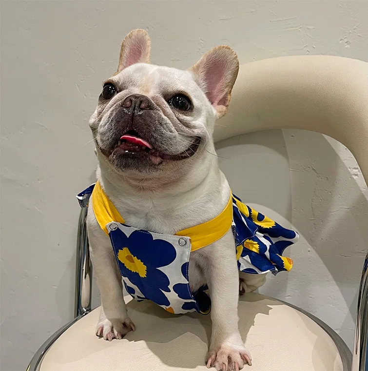 

Lotus leaf skirt with shoulder straps, Schnauzer Teddy, small and medium-sized dogs, cats and dogs, Bugs strawberry printing ins