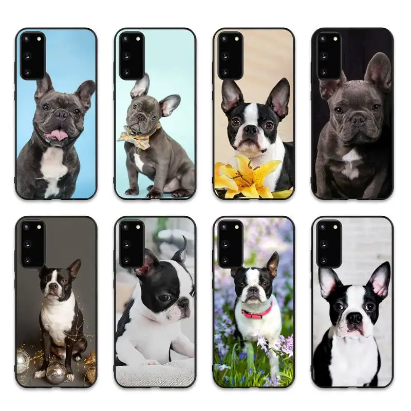 

French Bulldog Dog Phone Case for Samsung S10 21 20 9 8 plus lite S20 UlTRA 7edge