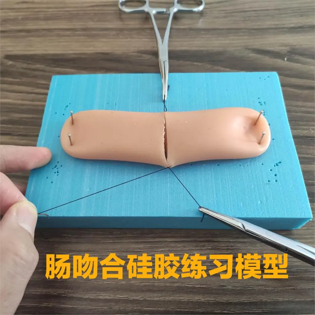 Laparoscopic simulation of intestinal anastomosis suture practice silicone model simulation bowel surgery module teaching