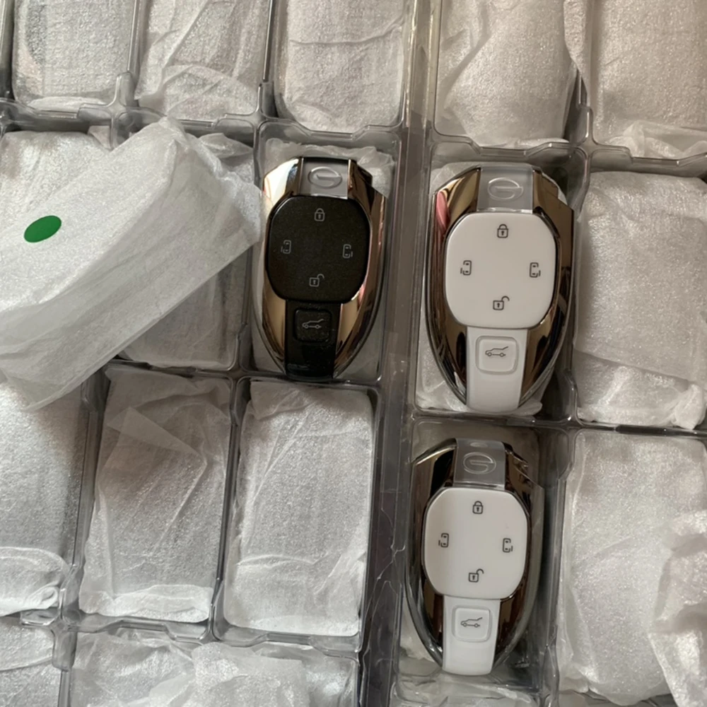 Рисунок 6 - Оригинальный Автомобильный БЕСКЛЮЧЕВОЙ