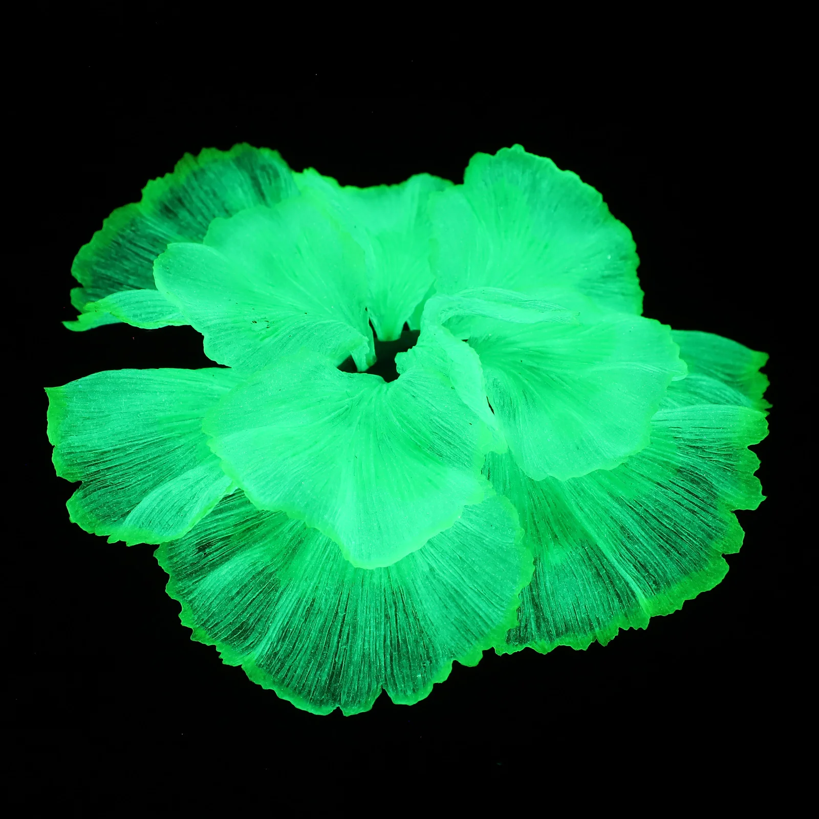 

Fish Tankartificial Aquarium Grass Plants Decoration Ornament Aquatic Miniature Faux Decor Landscape Seaweed