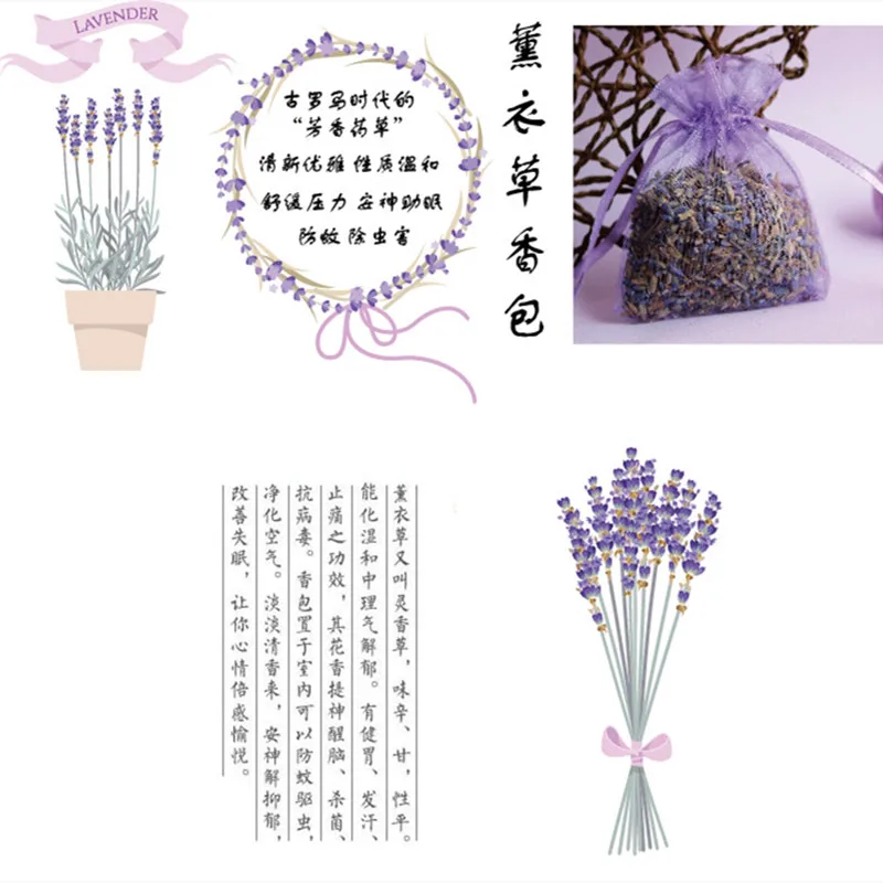 

2022 NEW 5g Natural Lavender Bud Dry Flower Sachet Bag Car Room Aromatic Air Refresh Desiccant Fragrance Sachets Moth &Mildew