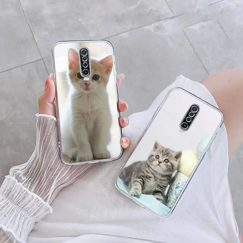 

Cute Kitten Phone Case For Xiaomi 11 Redmi Note 11pro5G 8T 9S K30 10T 12SPro Ultra K40pro Transparent Case