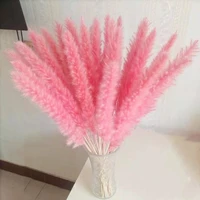 pampas grass natural dried flower arrangement wedding tall fall room decortion items mariage dried flowers artificial wholesale