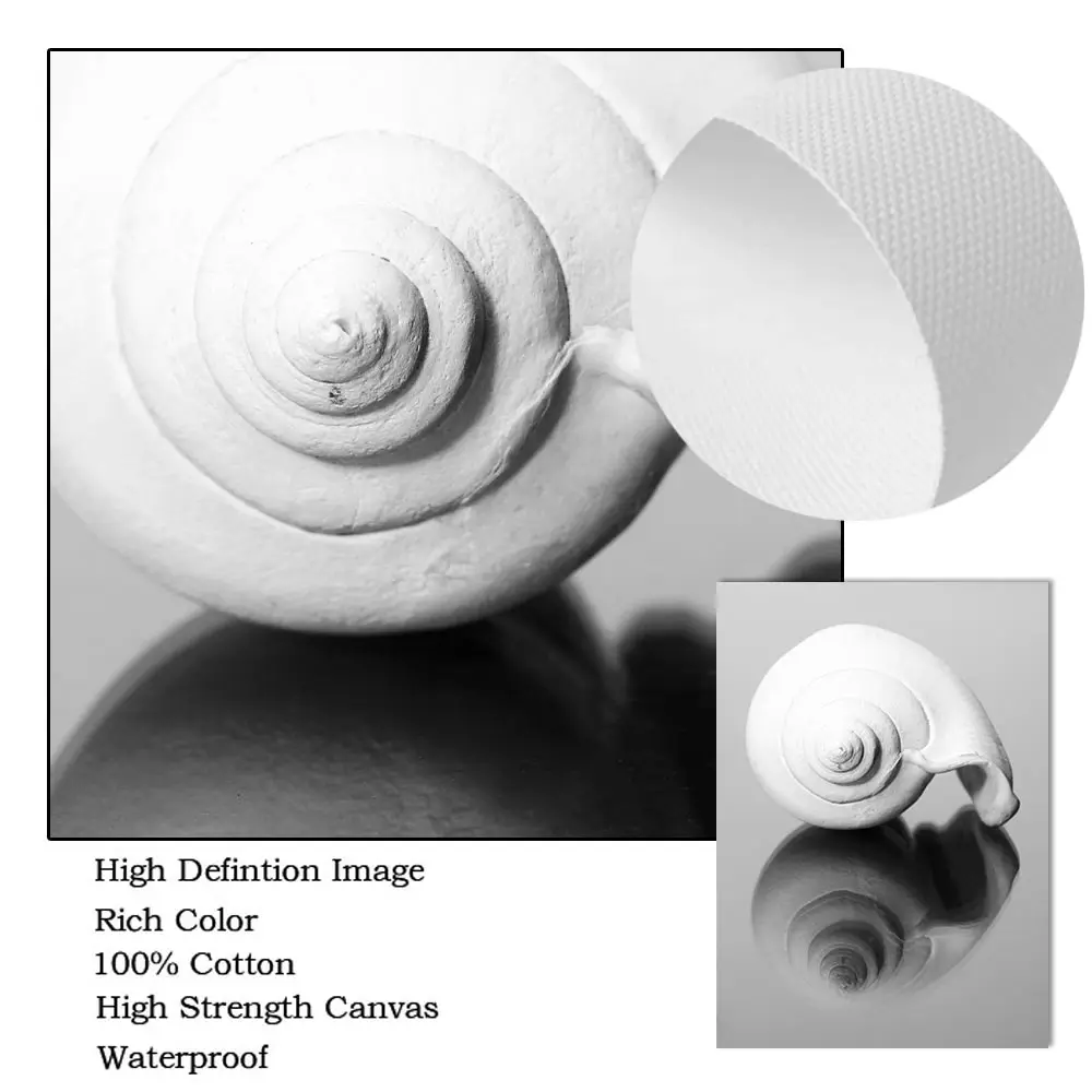 Черно-белые плакаты искусственная фотография на холсте пальма раковина стена