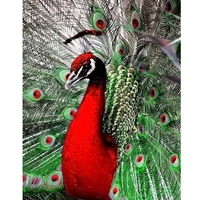 5d diamond painting red peacock full drill by number kits for adults diy diamond set arts craft decorations a0987