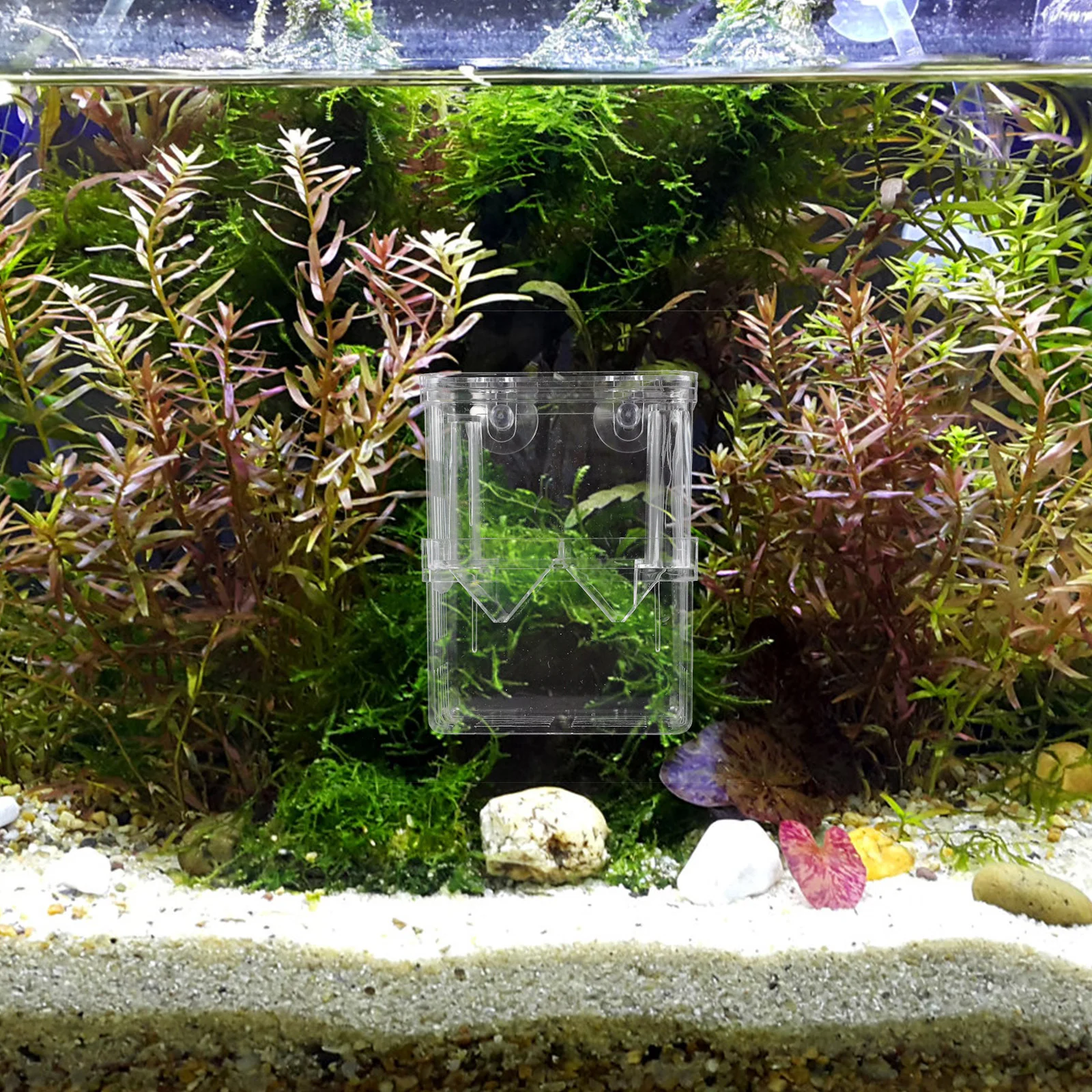 2 шт. инкубационная коробка для инкубации лыжника аквариум контейнер разведения