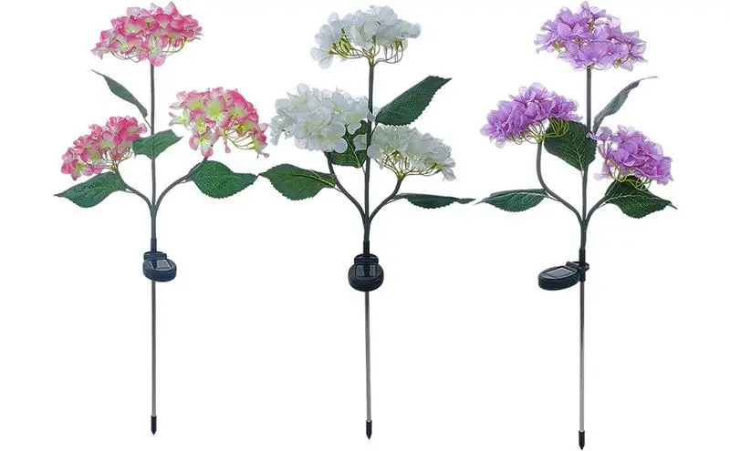 Рисунок 5 - Цветы, яркие декоративные солнечные цветы