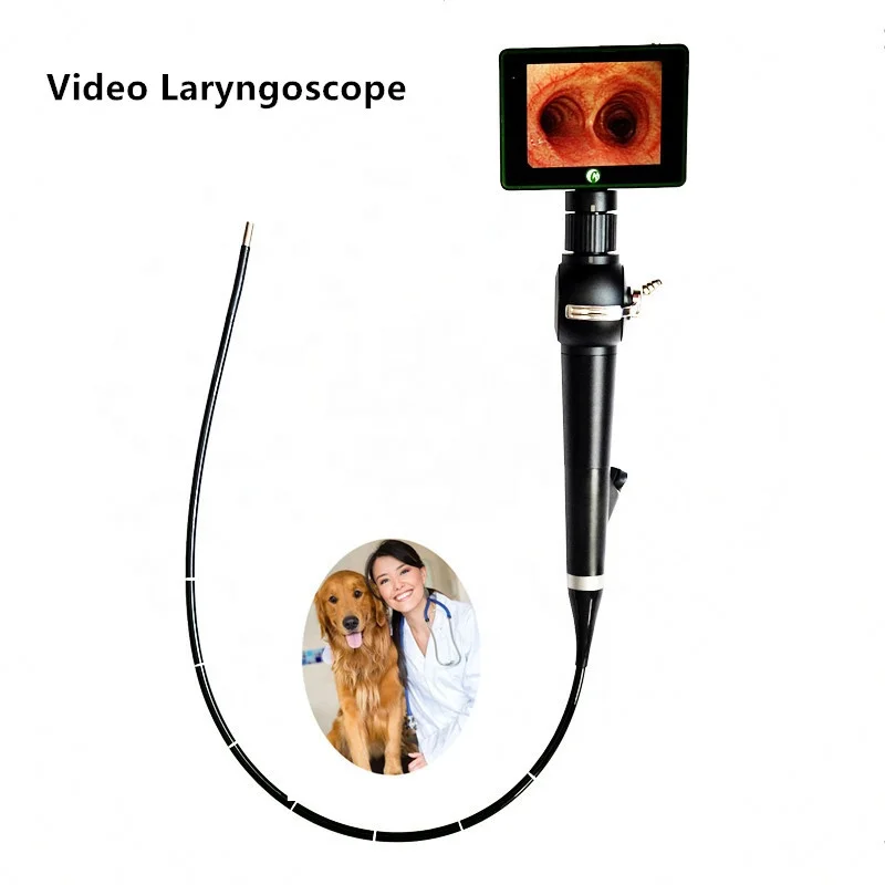 Рисунок 2 - Необходимый видеоларингоскоп/бронхоскоп для анестезии