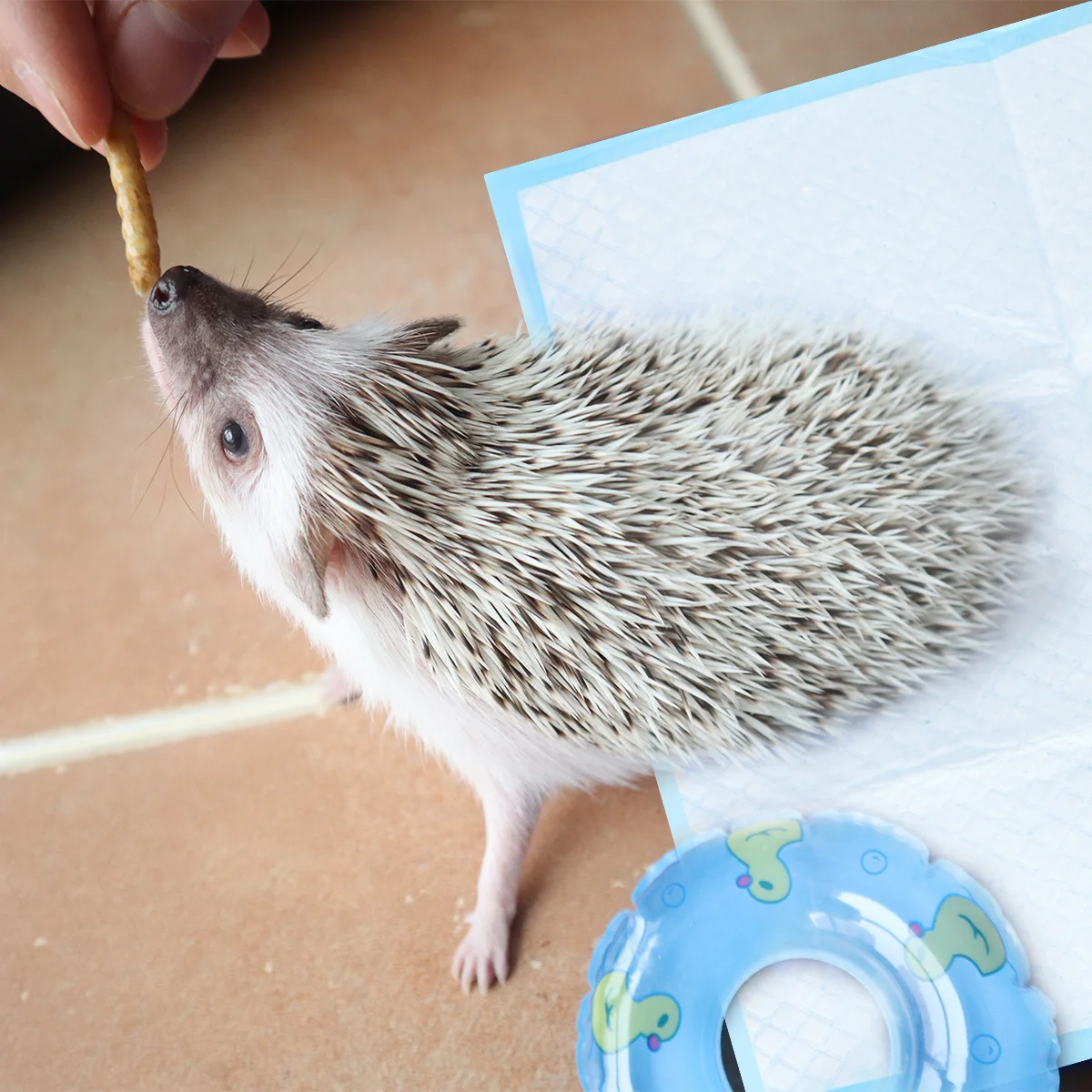 100 шт. подушечки для мочи домашних животных тренировочные пища подгузники