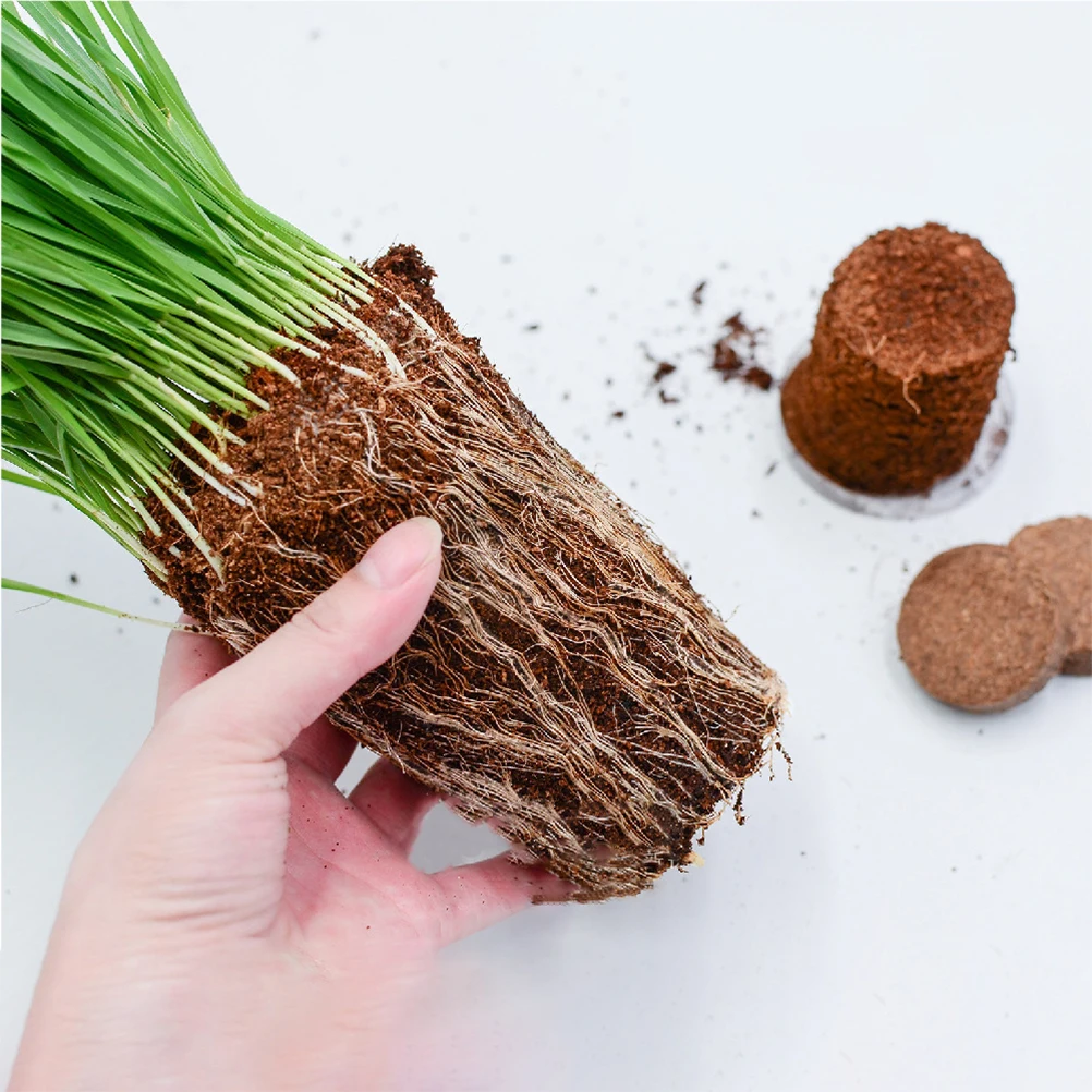 

20 шт. питательная почва для миниатюрного бонсая, посадочный грунтовой блок, садовые питательные блоки, сжатый питательный почвенный блок