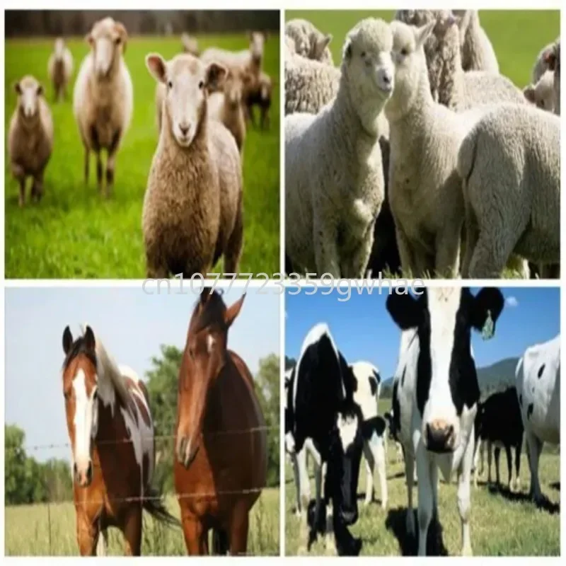 5 Joule Электрический изгородь высокого качества возбуждающий Прибор подходит для