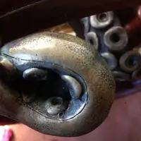 Винтажная дверная ручка щупальце осьминога#4