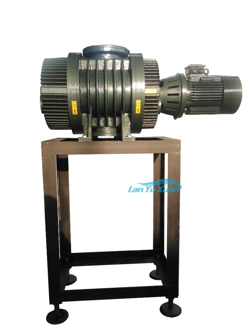 Рисунок 2 - RTO корневой вакуумный насос для