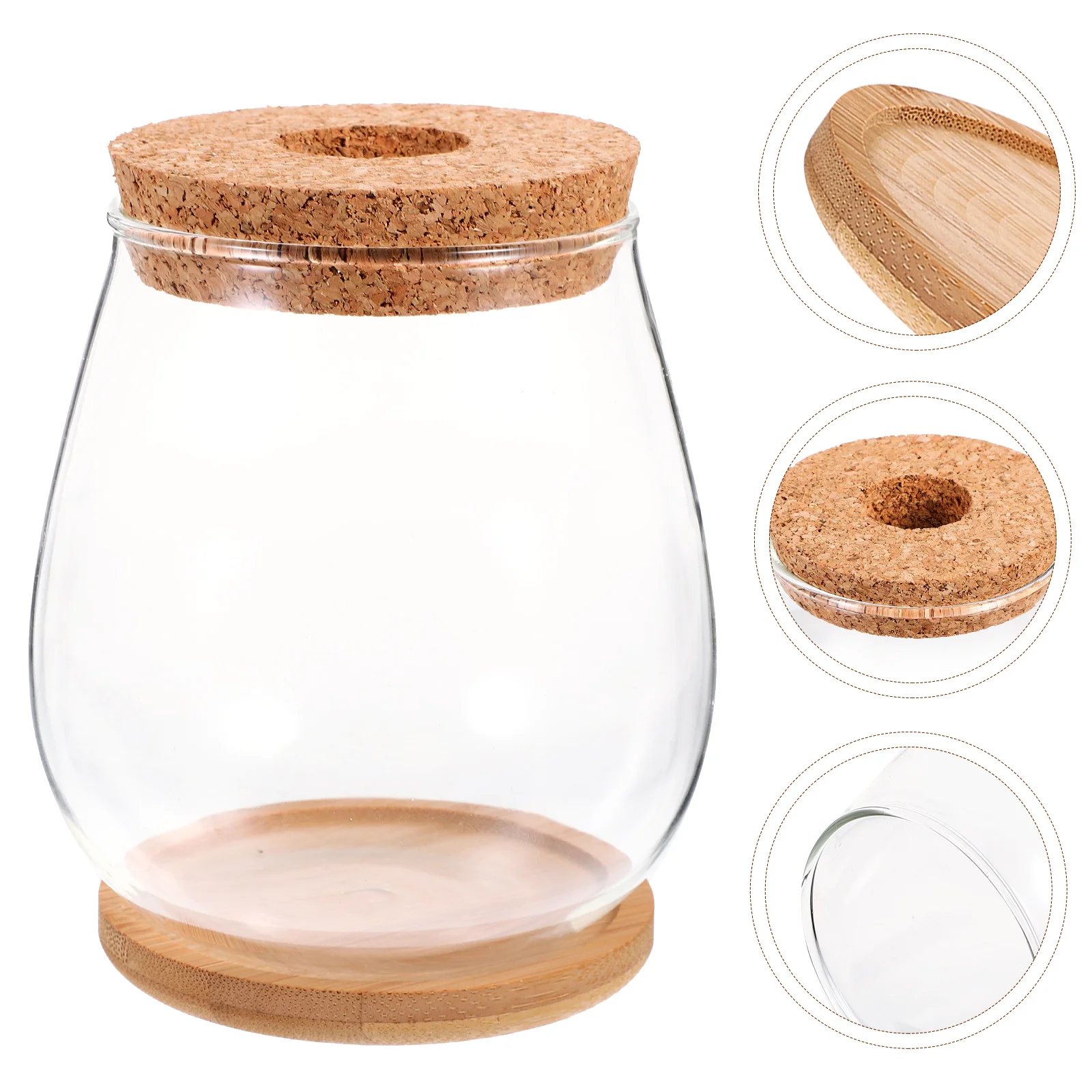 

Hydroponic Glass Vase Terrarium Containers Micro Landscaping Landscape Table Adornment DIY Plants Bottle Lid Empty Fish Bowl