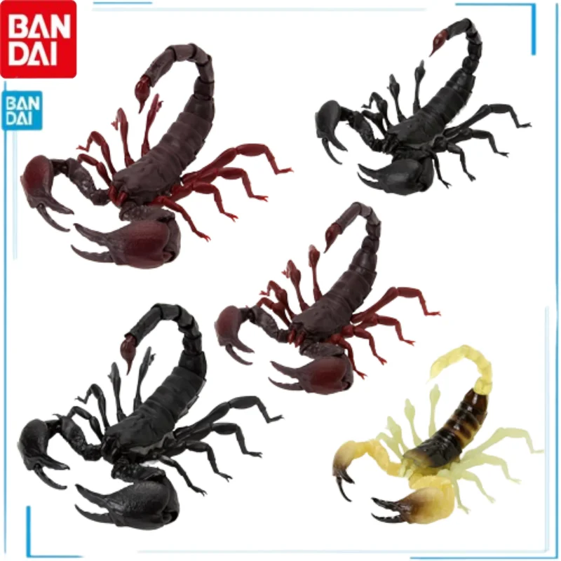 

Bandai A Guide To Biology Simulated Scorpion Model Scorpion Liocheles Australasiae Simulated Insect Active Joint Kid Brinquedo