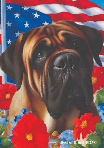 Бульмастиф Все-американский патриотический 1-й флаг