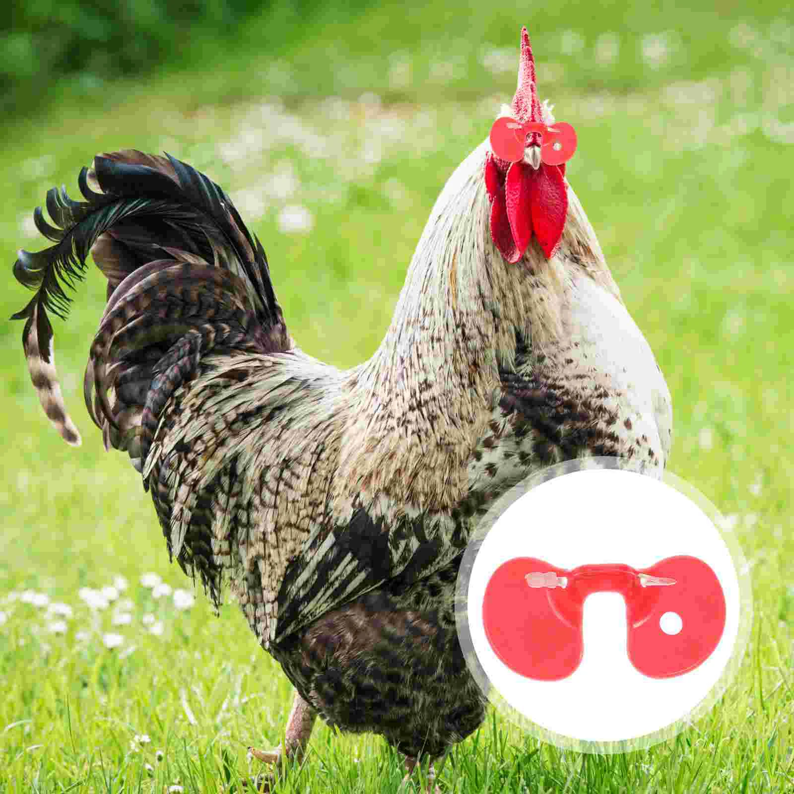 

Chicken Peepers Glasses Anti Spectacles Pheasant Blinders Eye Pecking Pinless Poultry Eyeglasses Fighting Chickensrooster Decor