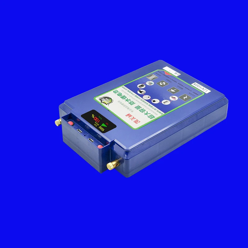 

Lithium iron phosphate battery pack made in China 12v60ah100ah solar rechargeable lithium ion battery for fish towing motor OEM