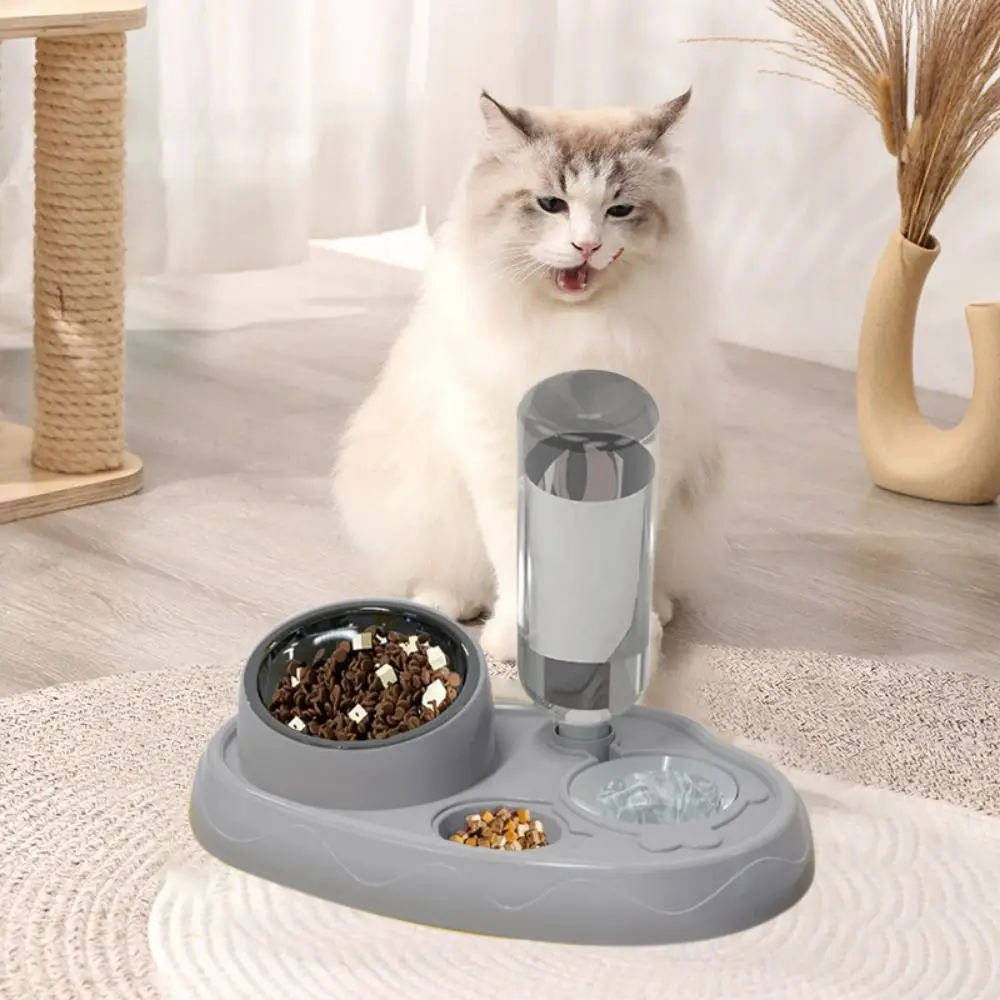 

Plastic Cat Automatic Feeder Double Bowl Stainless Steel Cat Food Bowls Detachable 15 Degrees Tilted Dog Water Dispenser