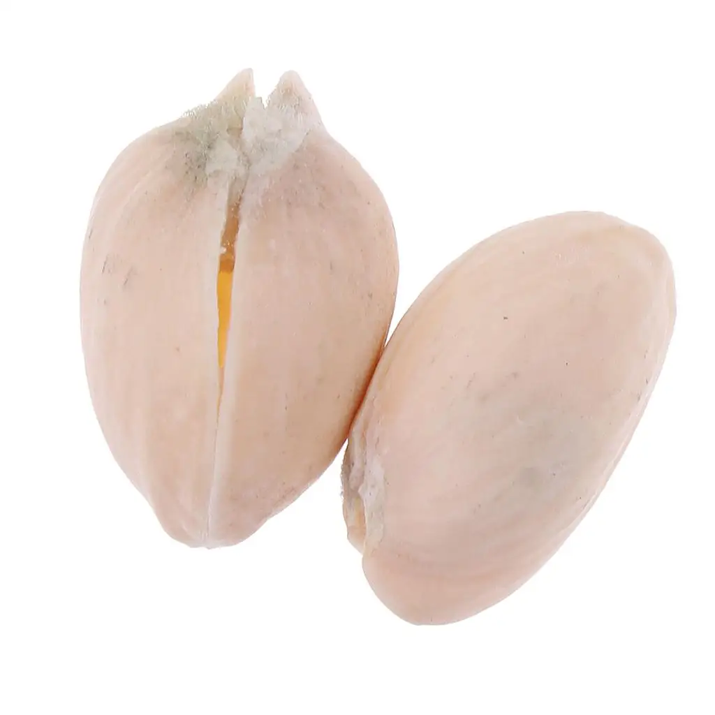 Фисташковые орехи через стеклянную чашку Удивительный реквизит для трюков