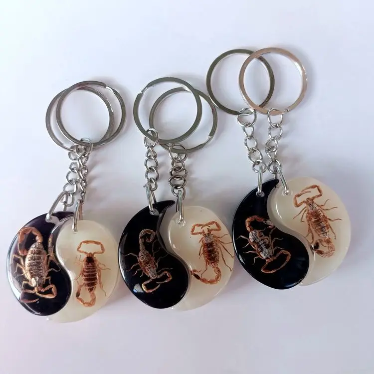 

1 Pair of Natural Real Insects Scorpion Amber Key Chain Black and White Taiji Pattern Lovers' Pendant Creativity Party Gift