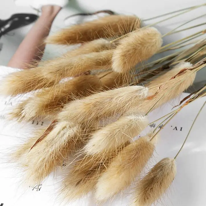 

34/60/65/70/75 pcs Artificial Decorations Hot Sale Pampas Grass Dried Flower Bouquet Small Reed Whisk Rabbit Grass
