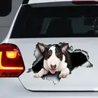 Автомобильная наклейка Mini Bull terrier, автомобильный магнит Mini Bull terrier, фотография быка