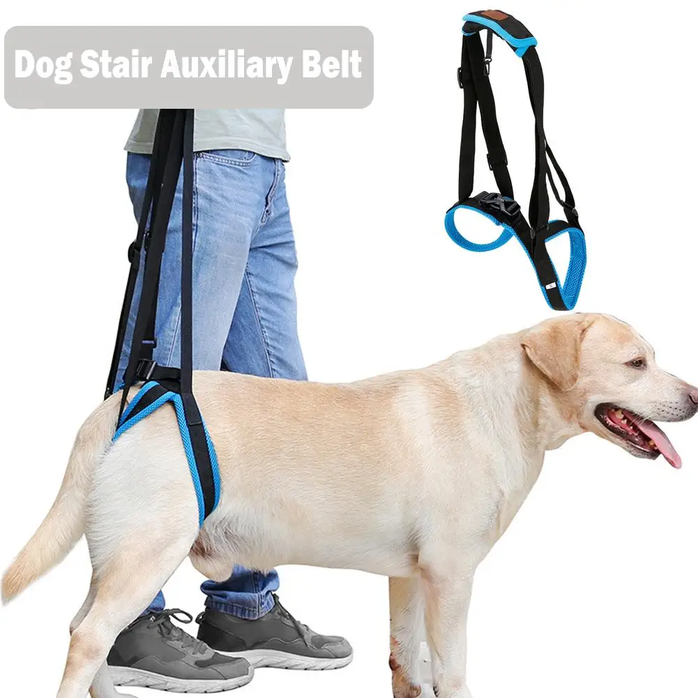 

Pet Dog Auxiliary Belt Old Dogs Balance Support Belt Dog Hind Legs Auxiliary Belt For Recovery Lift Support Rehabilitation H5g1