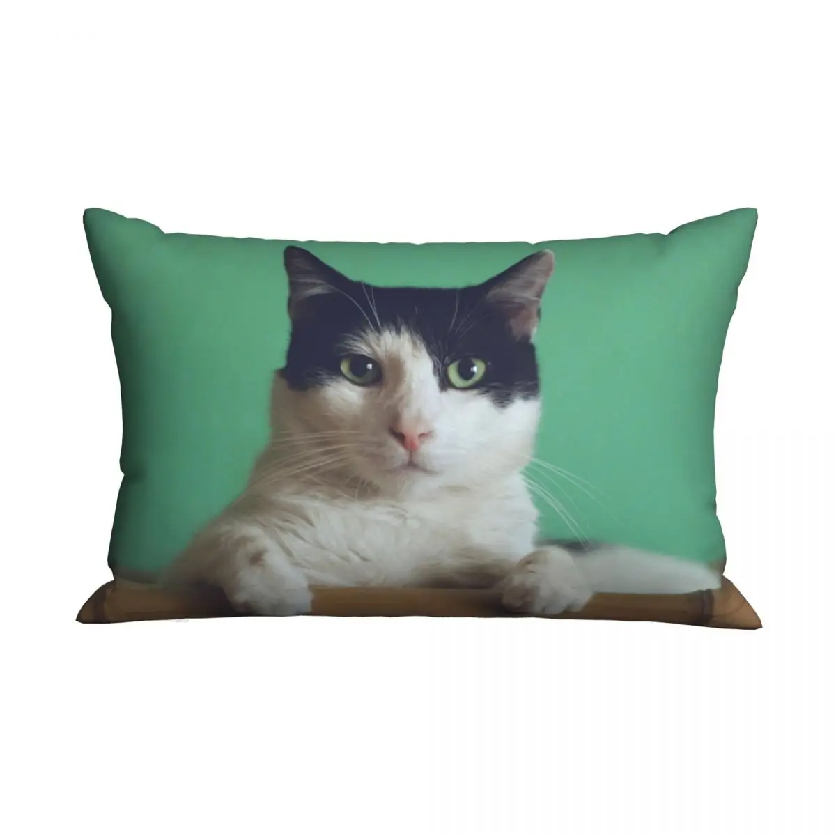 

Cat Animal Cat Lover Pillowcase Soft Cushion Cover Decorative Pillow Case Cover for Home Double-sided Printing